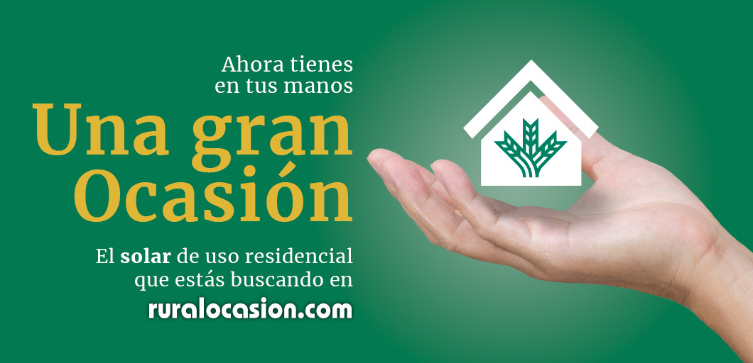 Ahora tienes en tus manos una gran ocasión