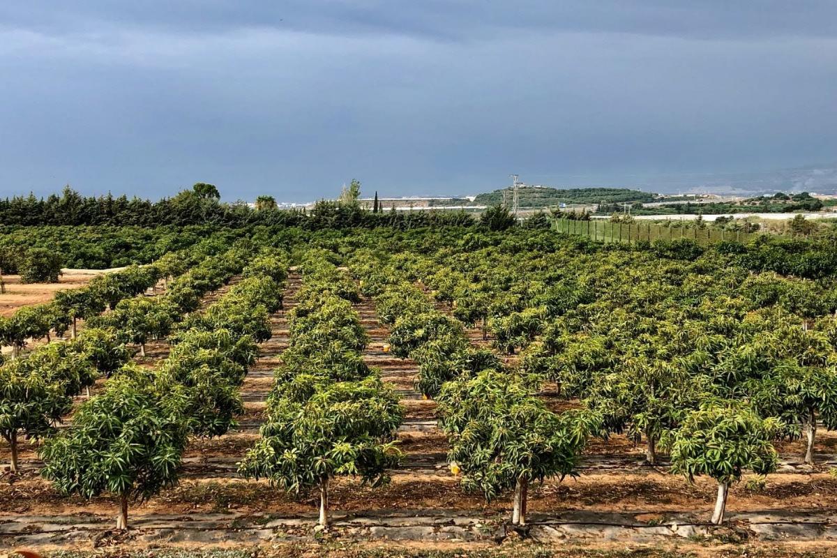 vista_general_finca_la_nacla_puntalon