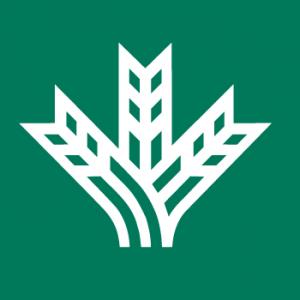 Icono y Logotipo del Grupo Caja Rural
