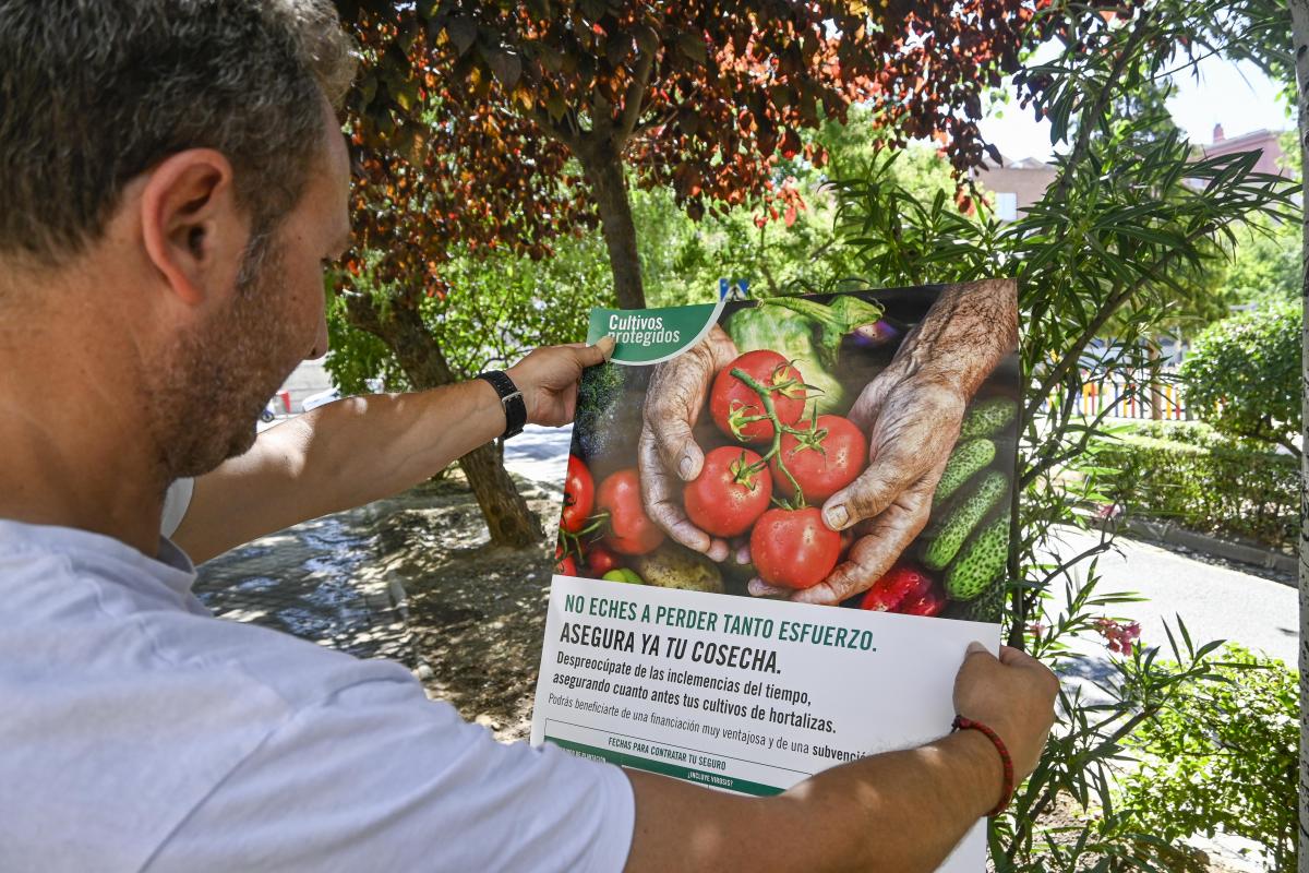 Hombre leyendo cartel de protege tu cosecha