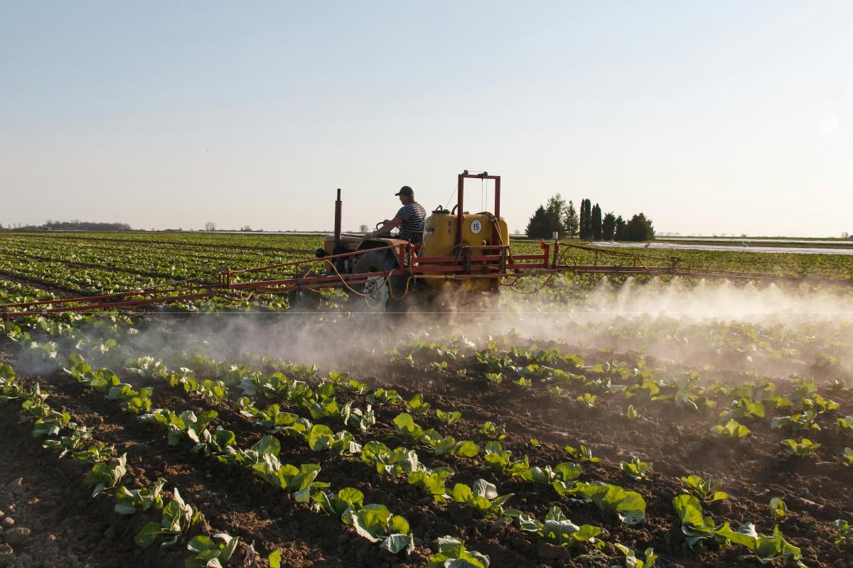 Asegurar el relevo generacional en el campo con formación y oportunidades