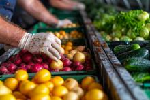 Las frutas y hortalizas lideran el agro español en 2026: claves de su fortaleza y desafíos 